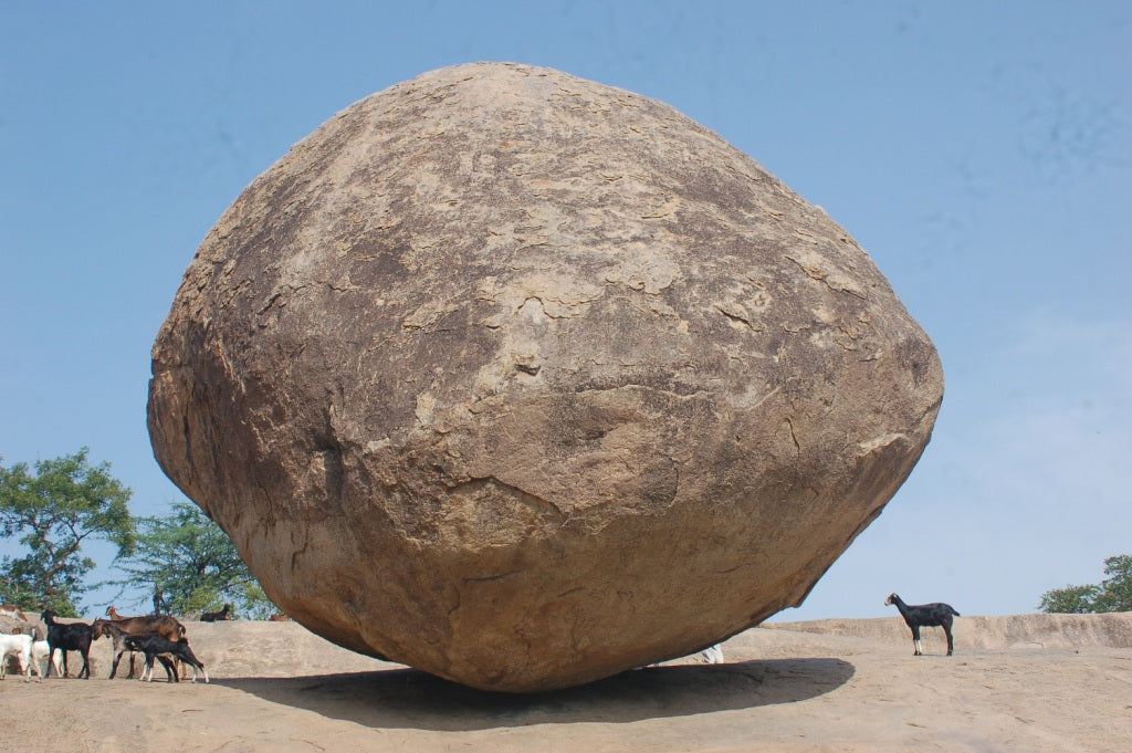 Lizard Vigilante's Rock Collection