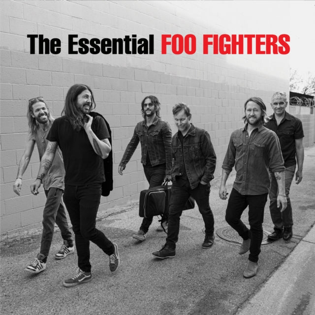 Essential Foo Fighters & Colour & The Shape (2LP/Dl Card)