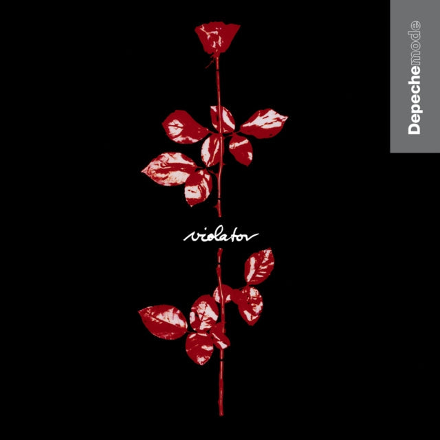 Memento Mori (Booklet) & Violator