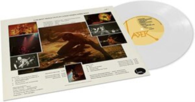 Survivors (Milky Clear LP Vinyl) & Shock Tactics (Coke Bottle Green LP Vinyl)