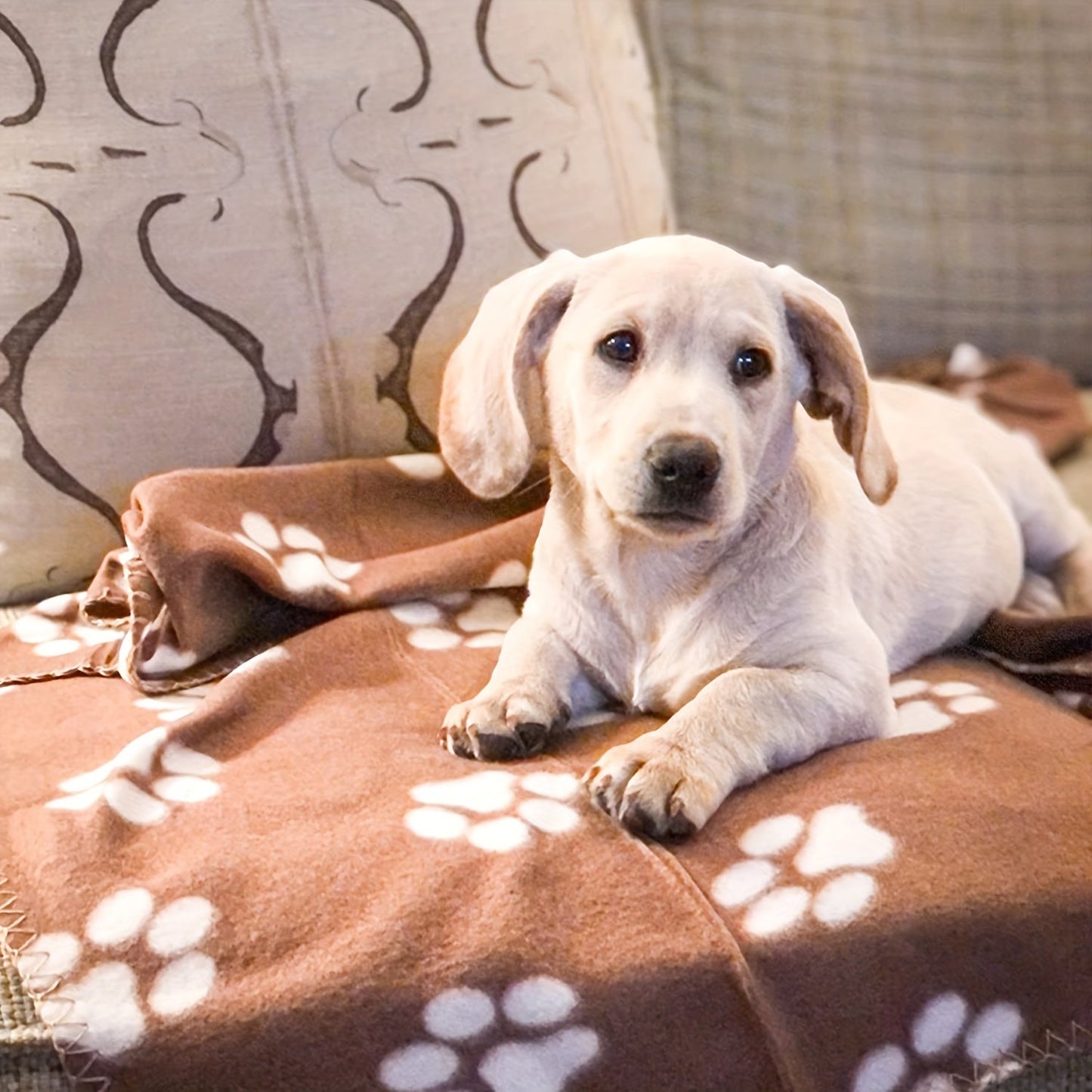 6-Pack of Warm Paw Print Dog Blanket Bed Covers to Keep Your Furry Pets Cozy!