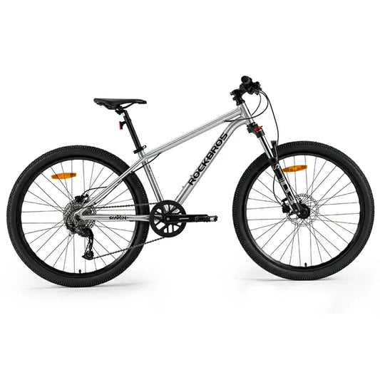 Darwin V 26-Inch Mountain Bike