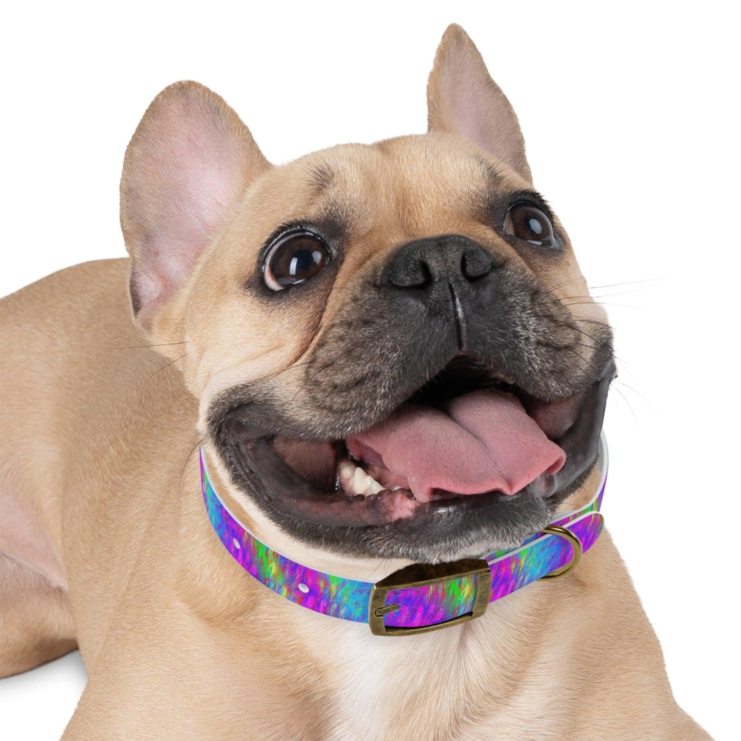 Supercolor Gel Dog Collar - Lizard Vigilante