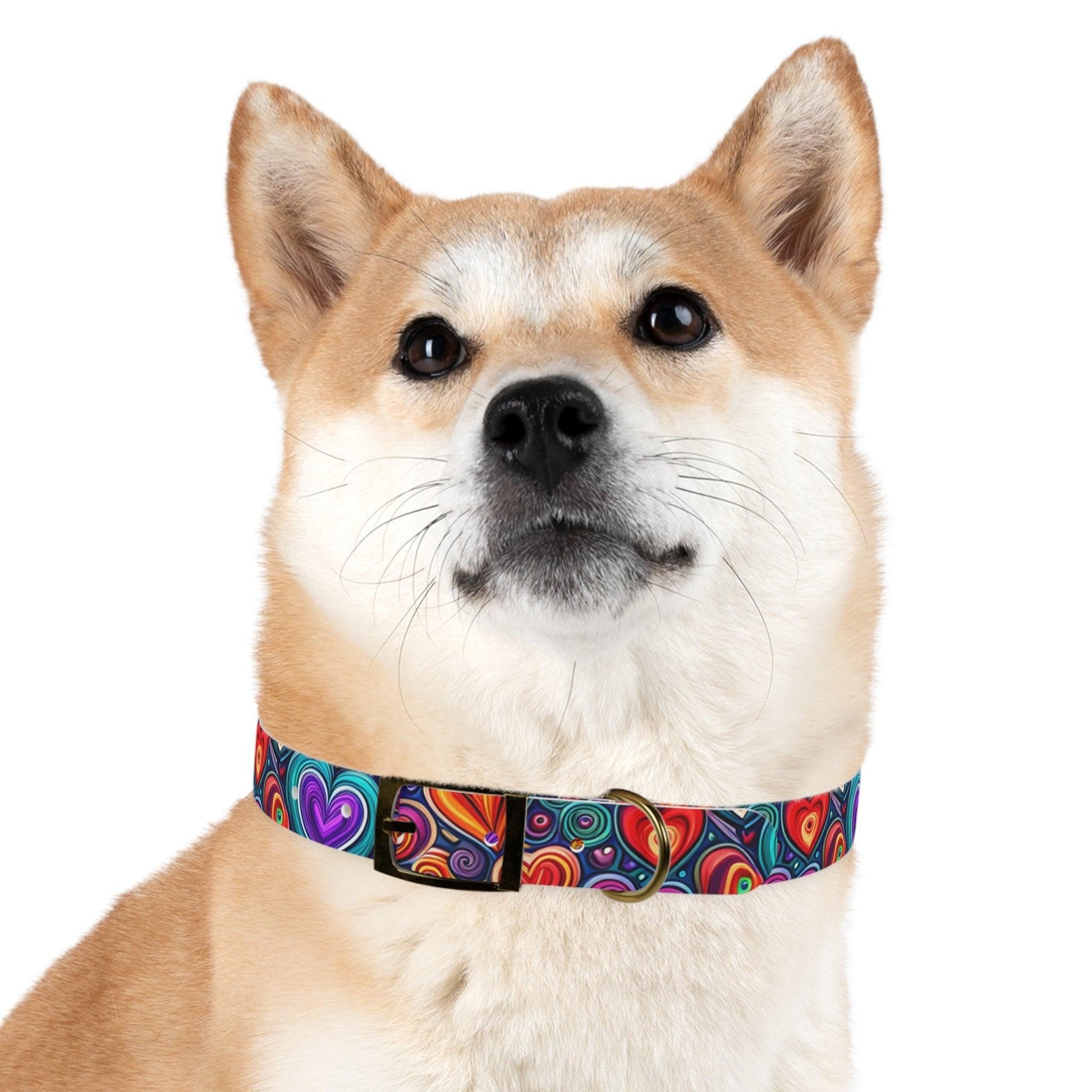 Dog Collar - Lizard Vigilante