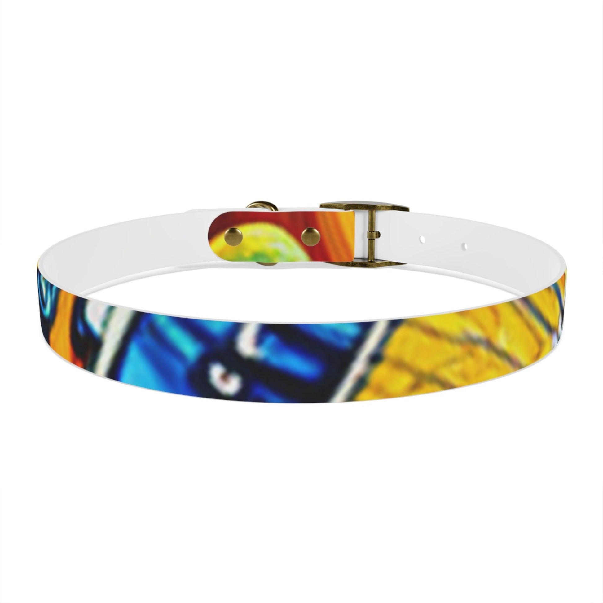 Les Paul Colors Dog Collar - 4 Sizes - Lizard Vigilante