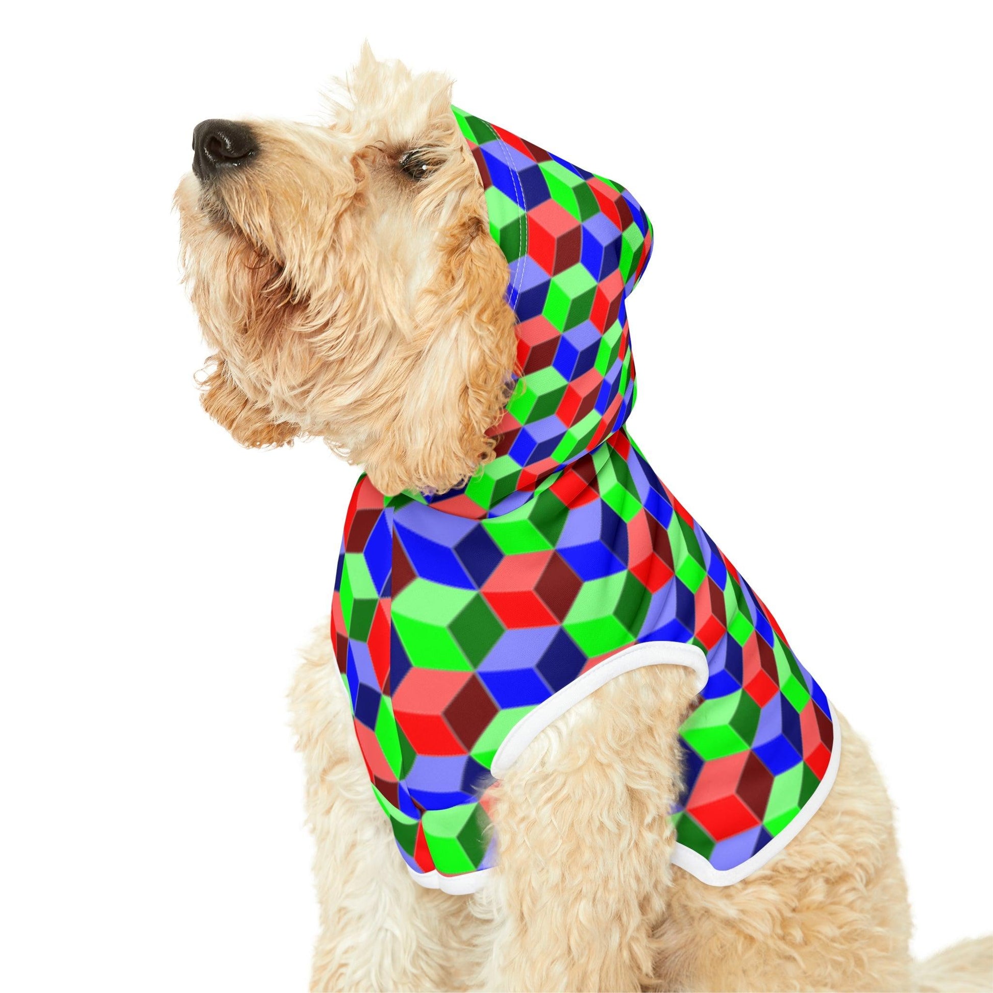 Qubed Pet Hoodie - Lizard Vigilante