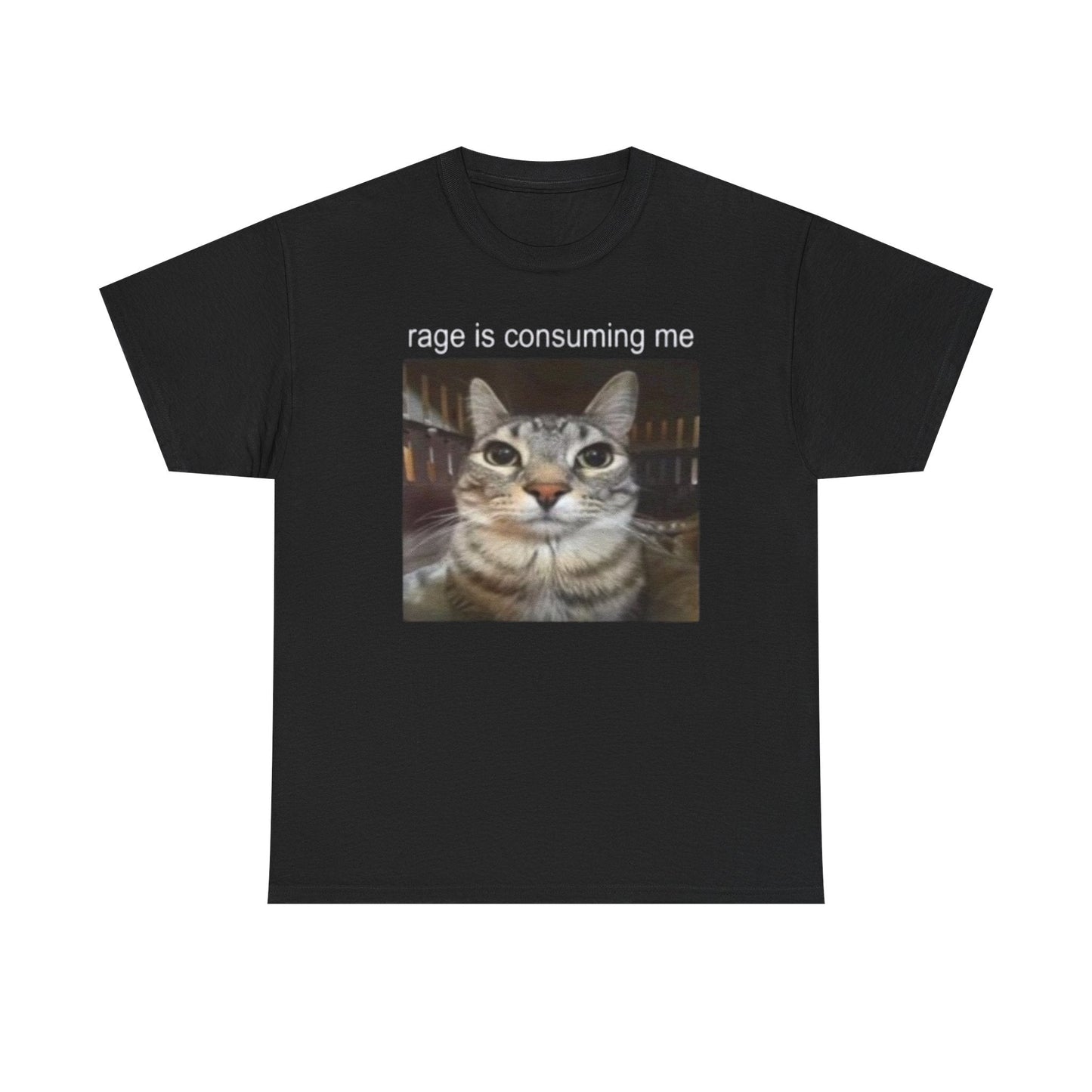 Rage Is Consuming Me Funny Cat Meme Shirt – Hilarious Angry Cat Graphic Tee for Men & Women