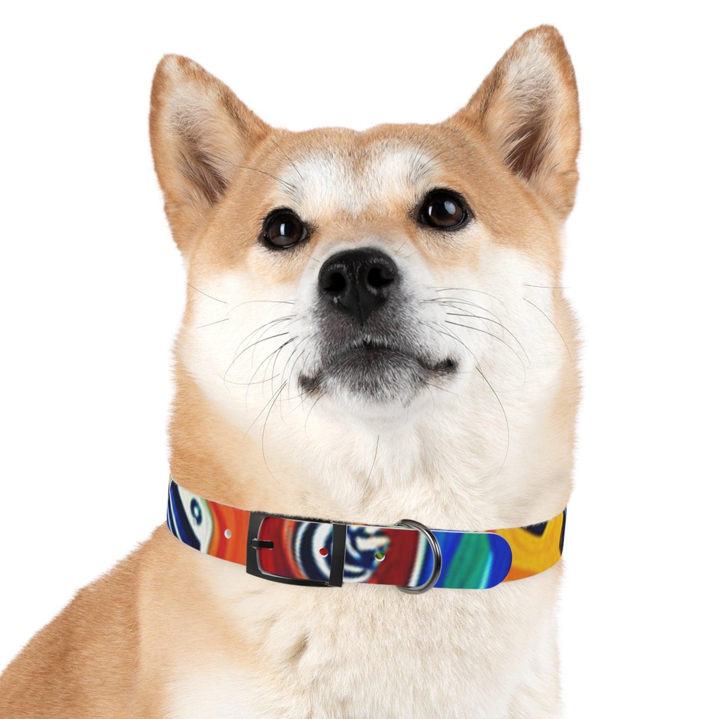 Les Paul Colors Dog Collar - 4 Sizes - Lizard Vigilante