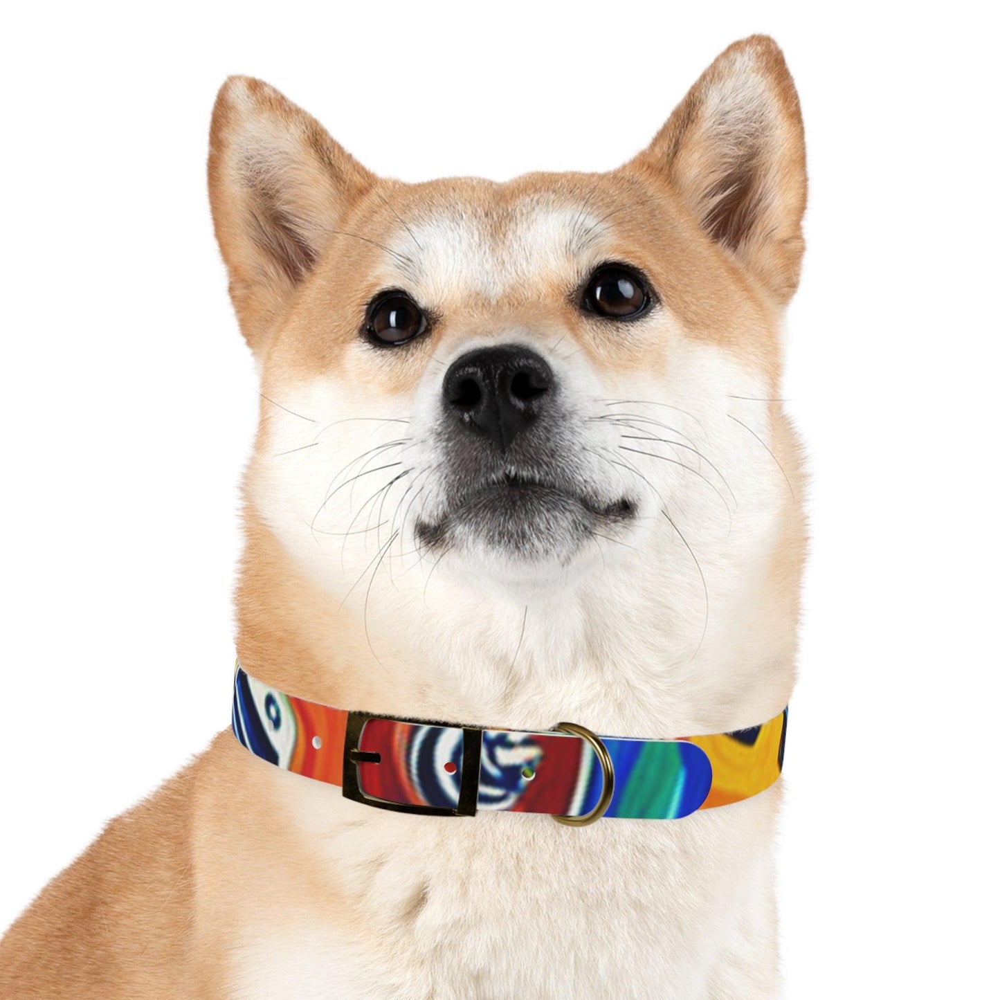 Les Paul Colors Dog Collar - 4 Sizes - Lizard Vigilante