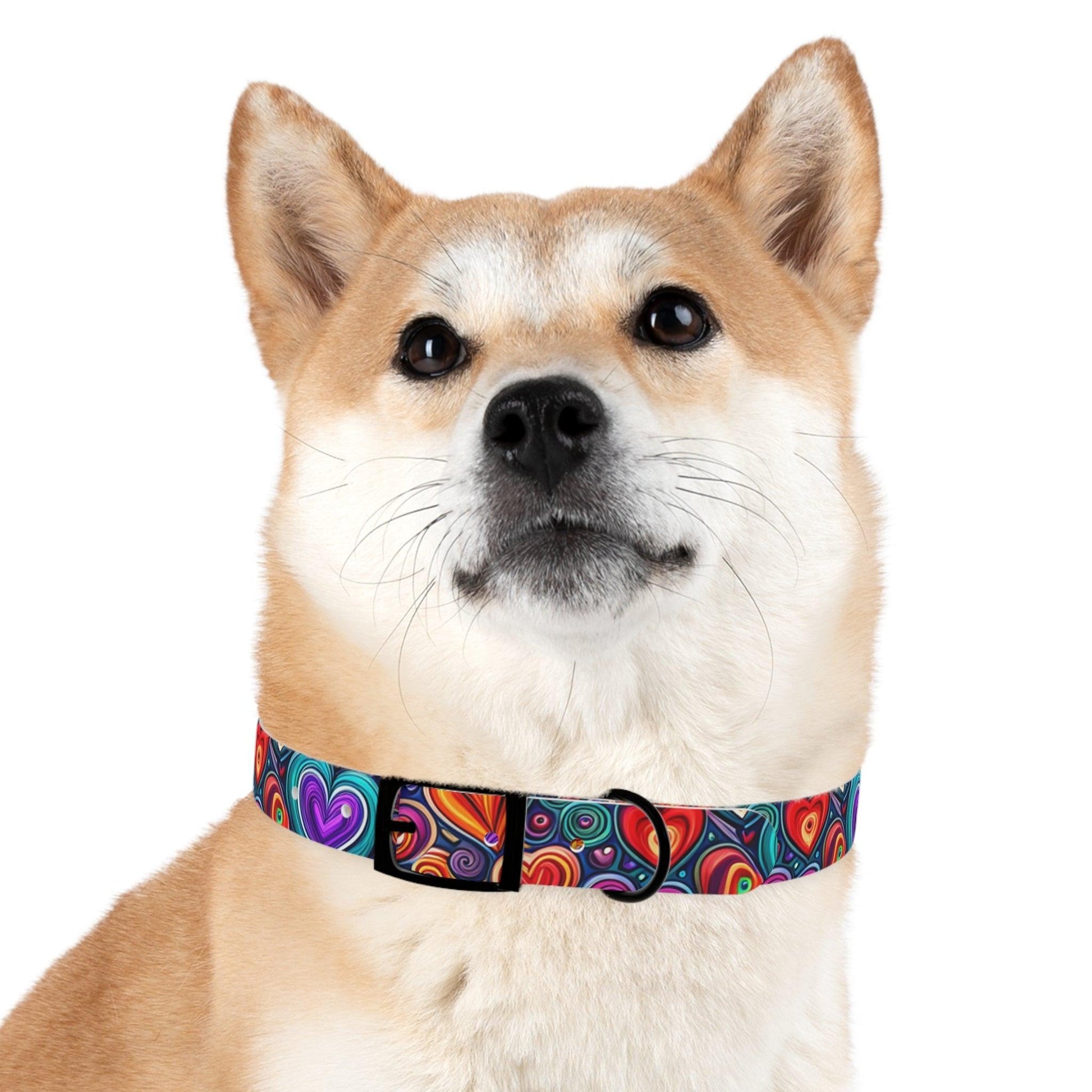 Dog Collar - Lizard Vigilante