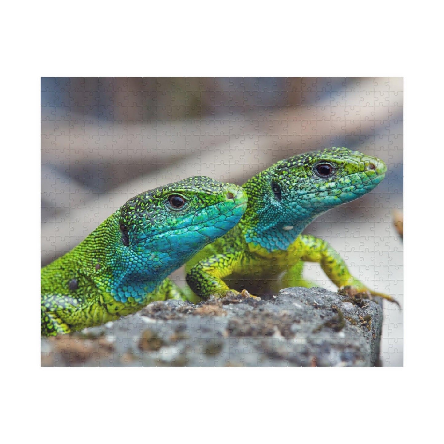 Lizard Buds Puzzle (110, 252, 520, 1014-piece) - Lizard Vigilante