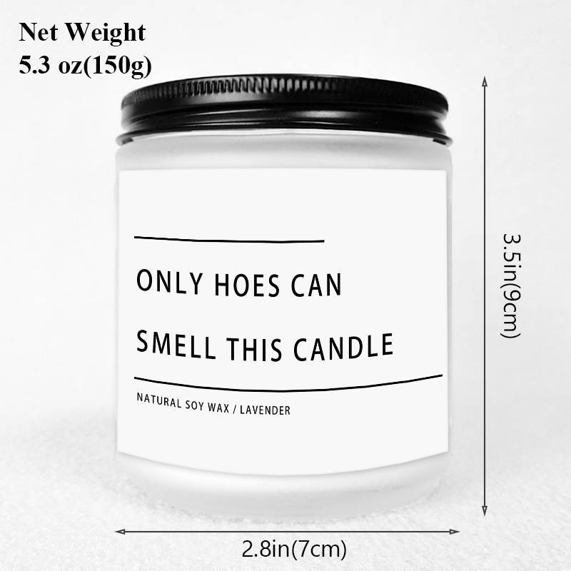 Funny Only Hoes Can Smell This Candle Perfect Funny Novelty Gag Gifts Scented Candle, Perfect Scented for Home, Lavender Scented Candle Ideal for Home Aromatherapy & Meditation, Perfect Gift for Men Him Friends Guys Classmate