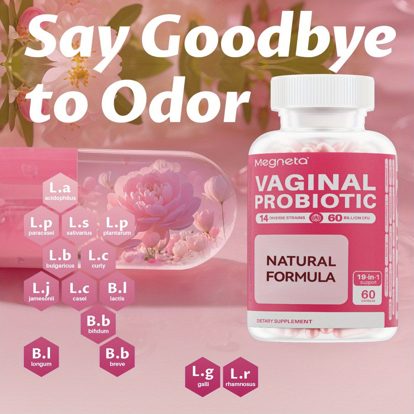 Megneta Vaginal Probiotic Capsules – 19-in-1 Probiotics for Women - Premium pills from Lizard Vigilante - Just $29.99! Shop now at Lizard Vigilante