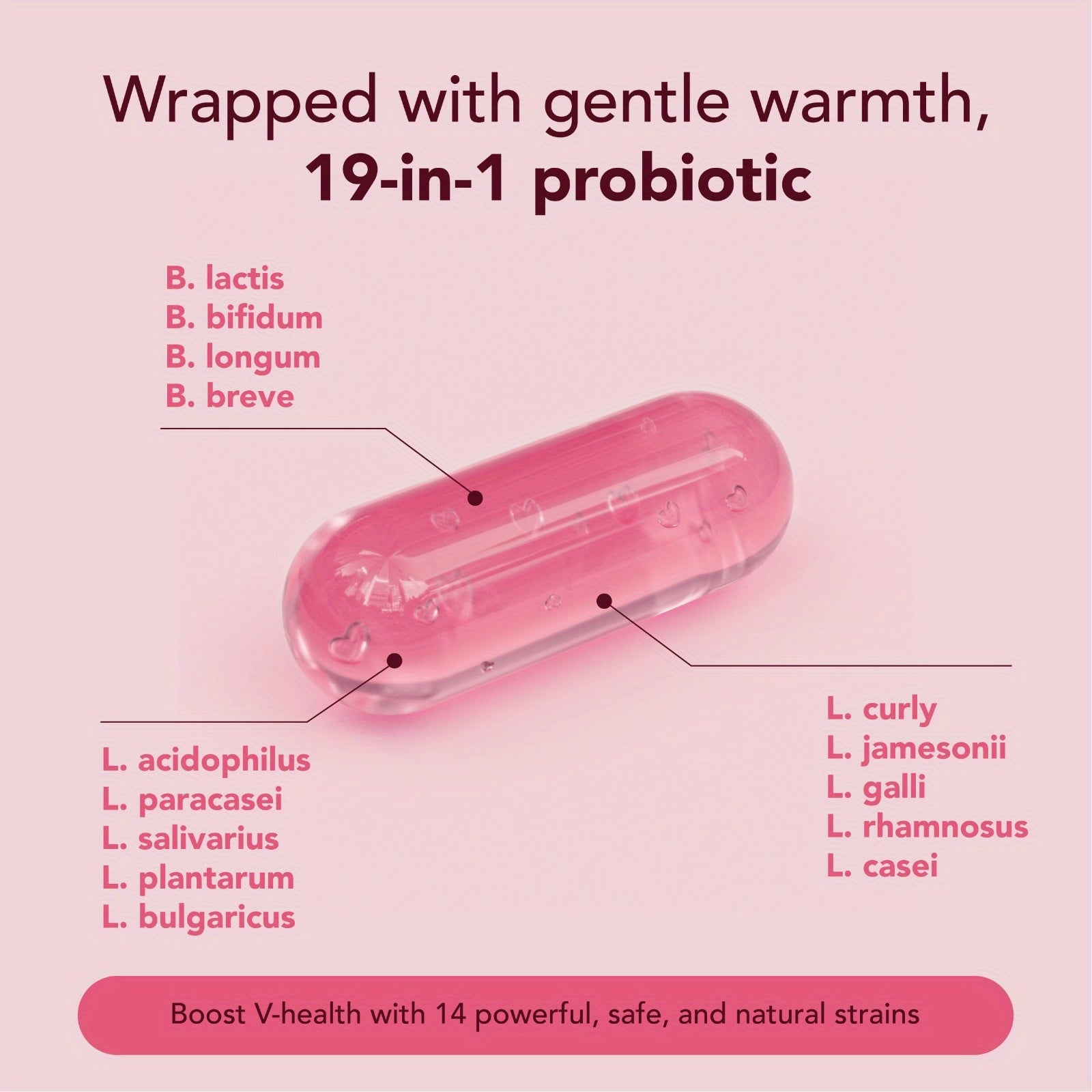 Megneta Vaginal Probiotic Capsules – 19-in-1 Probiotics for Women - Premium pills from Lizard Vigilante - Just $29.99! Shop now at Lizard Vigilante