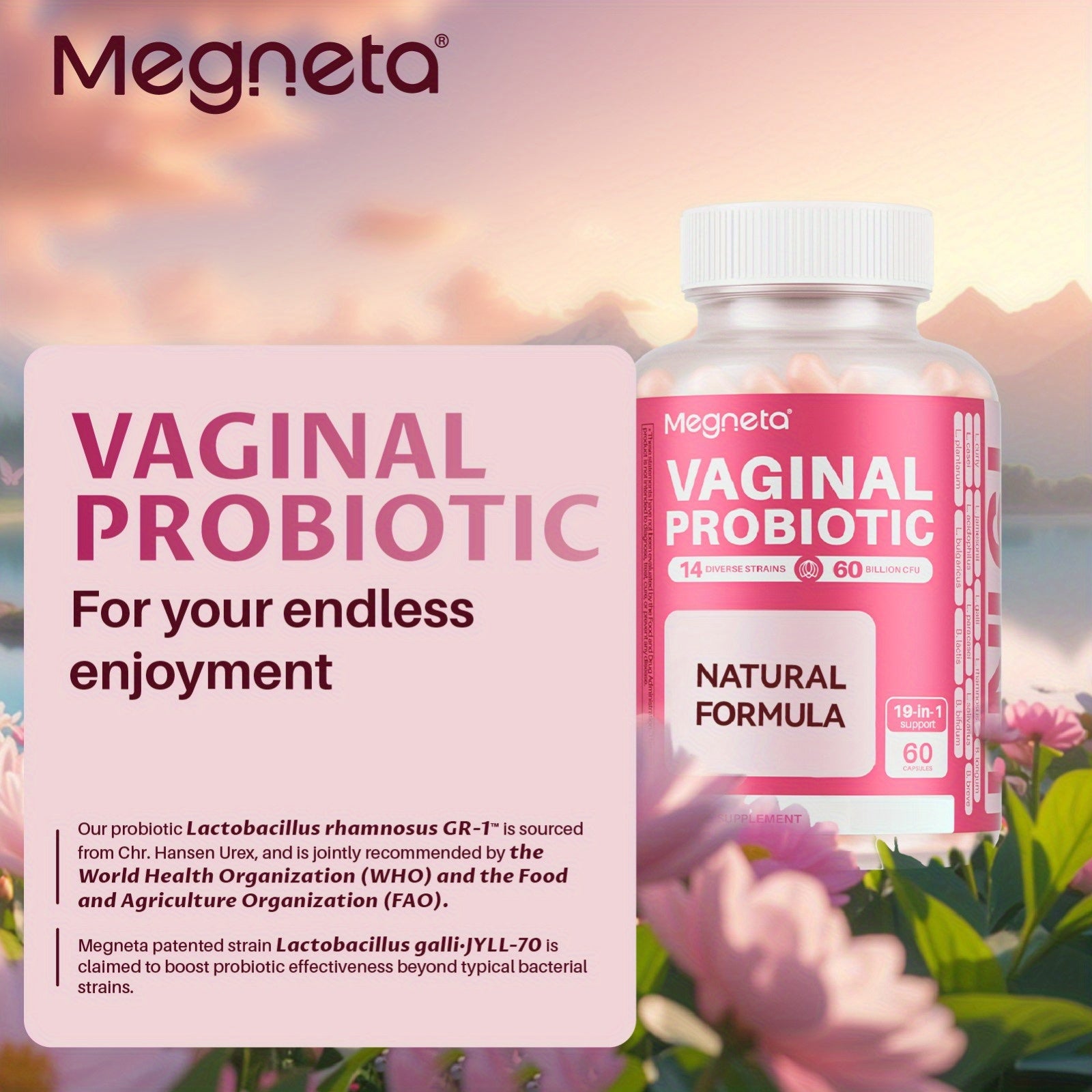 Megneta Vaginal Probiotic Capsules – 19-in-1 Probiotics for Women - Premium pills from Lizard Vigilante - Just $29.99! Shop now at Lizard Vigilante