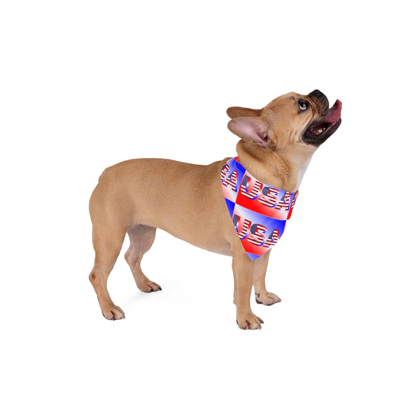 USA Graphic Pet Bandana - Premium Pets from Printify - Just $22.22! Shop now at Lizard Vigilante