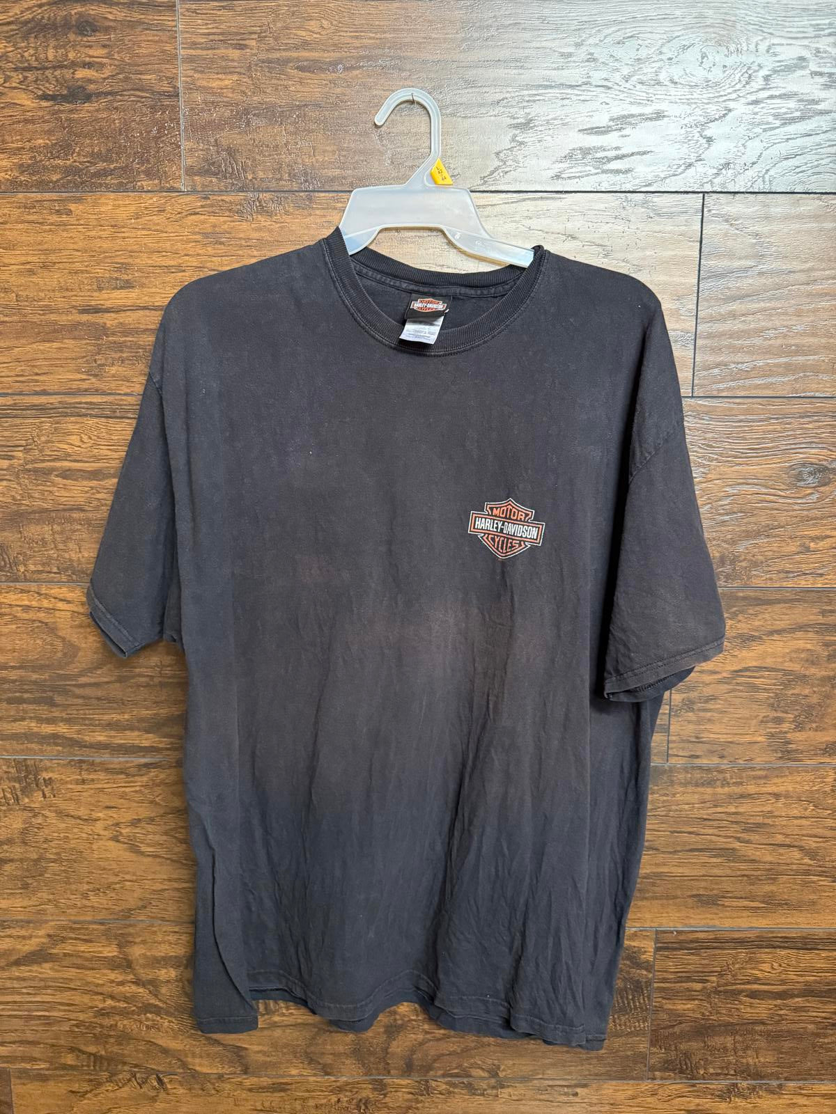 Harley Davidson T-shirt Biker Arizona Dry Heat Tee 2XL