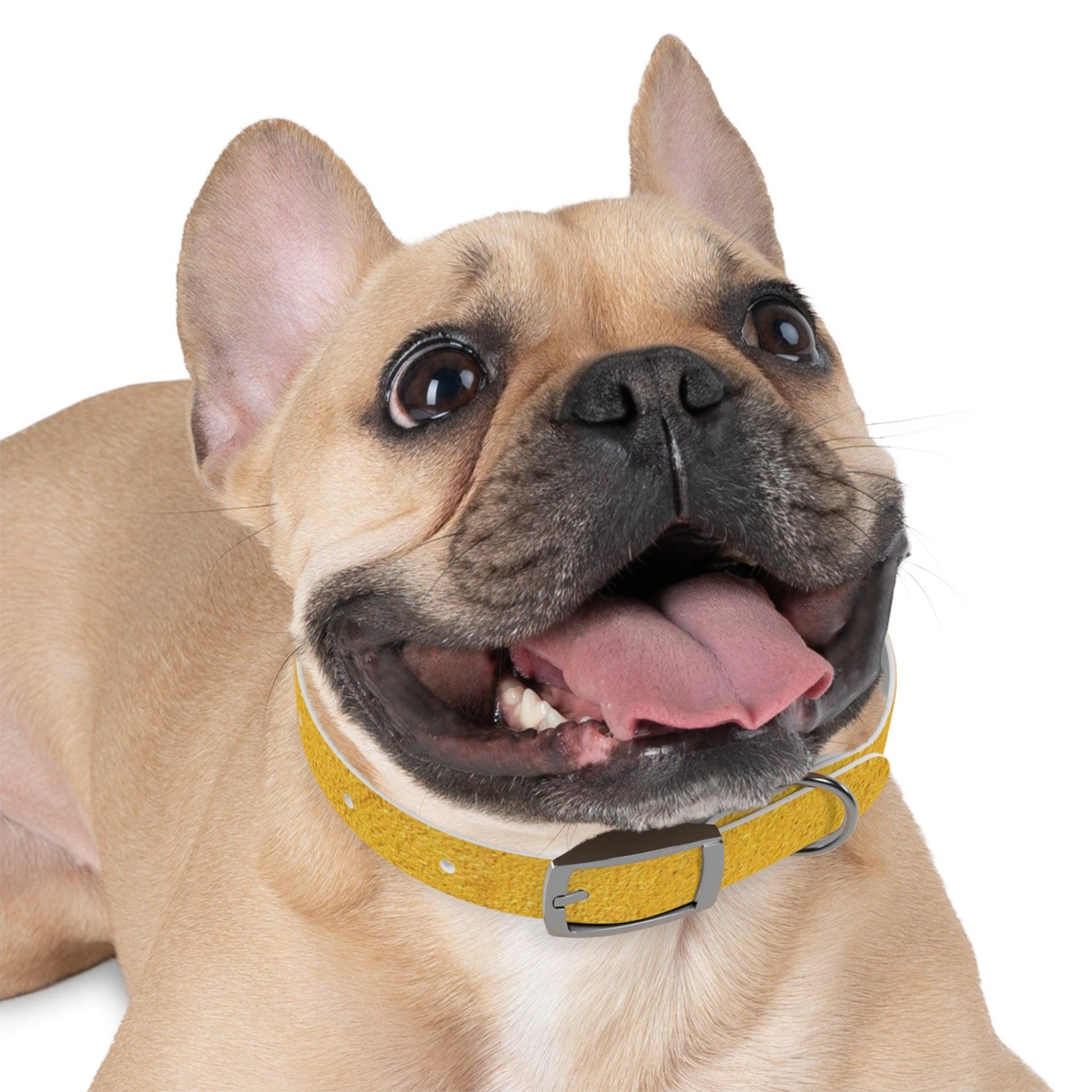 Faux Gold Dog Collar 4 Sizes S-XL - Lizard Vigilante