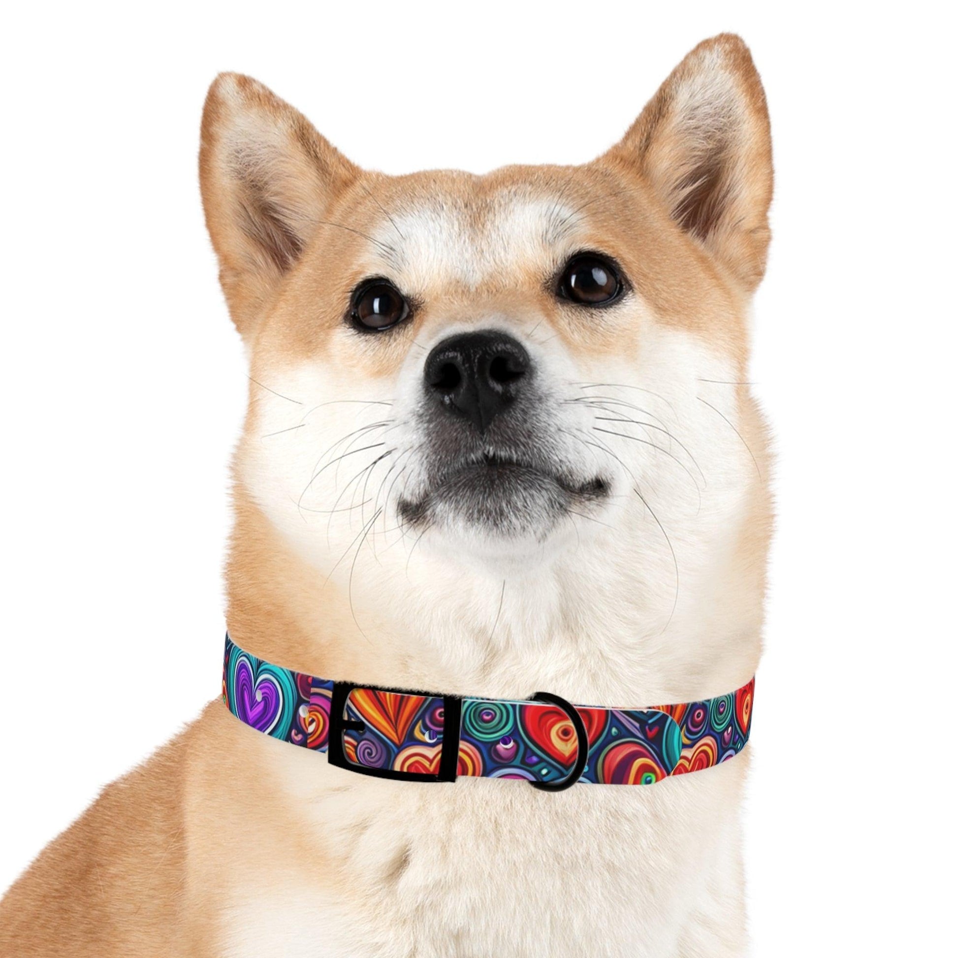 Dog Collar - Lizard Vigilante