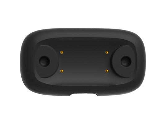 Charging accessory( for 29210061001)