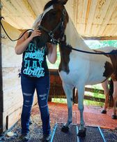 Look Pretty Play Dirty Tank (Multiple Colors)