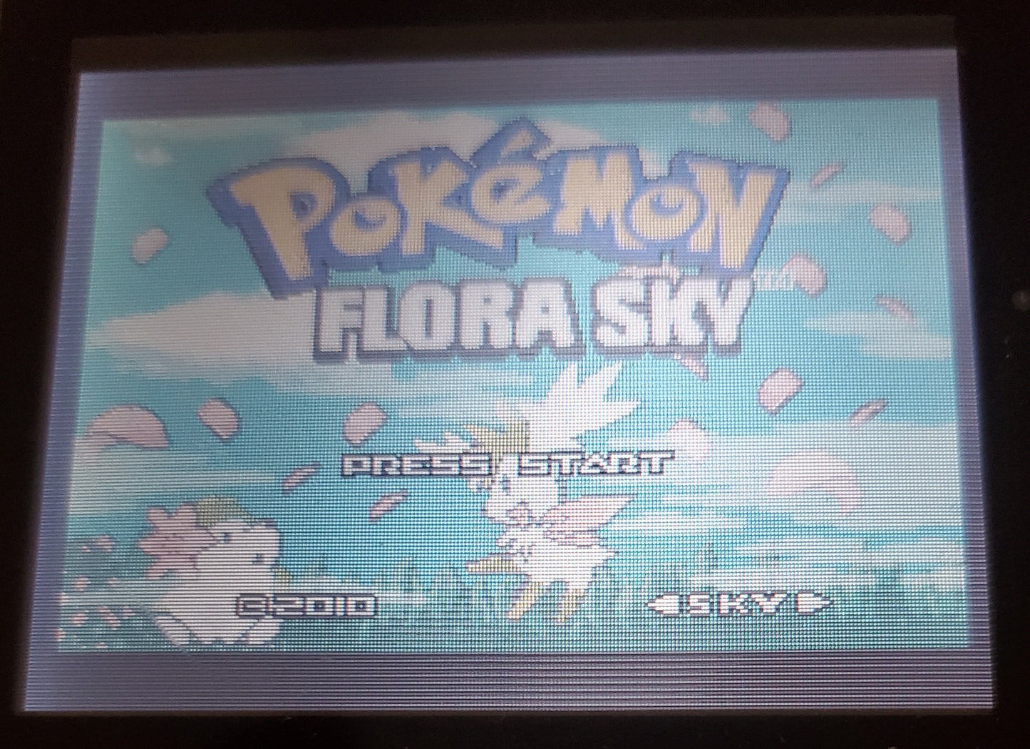 Pokemon Flora Sky GBA ROM Hack Video Game Custom Gameboy Advance