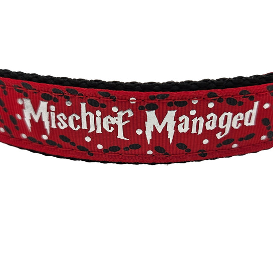 Mischief Managed Red, Blue, or Green Dog Collar - 1 inch