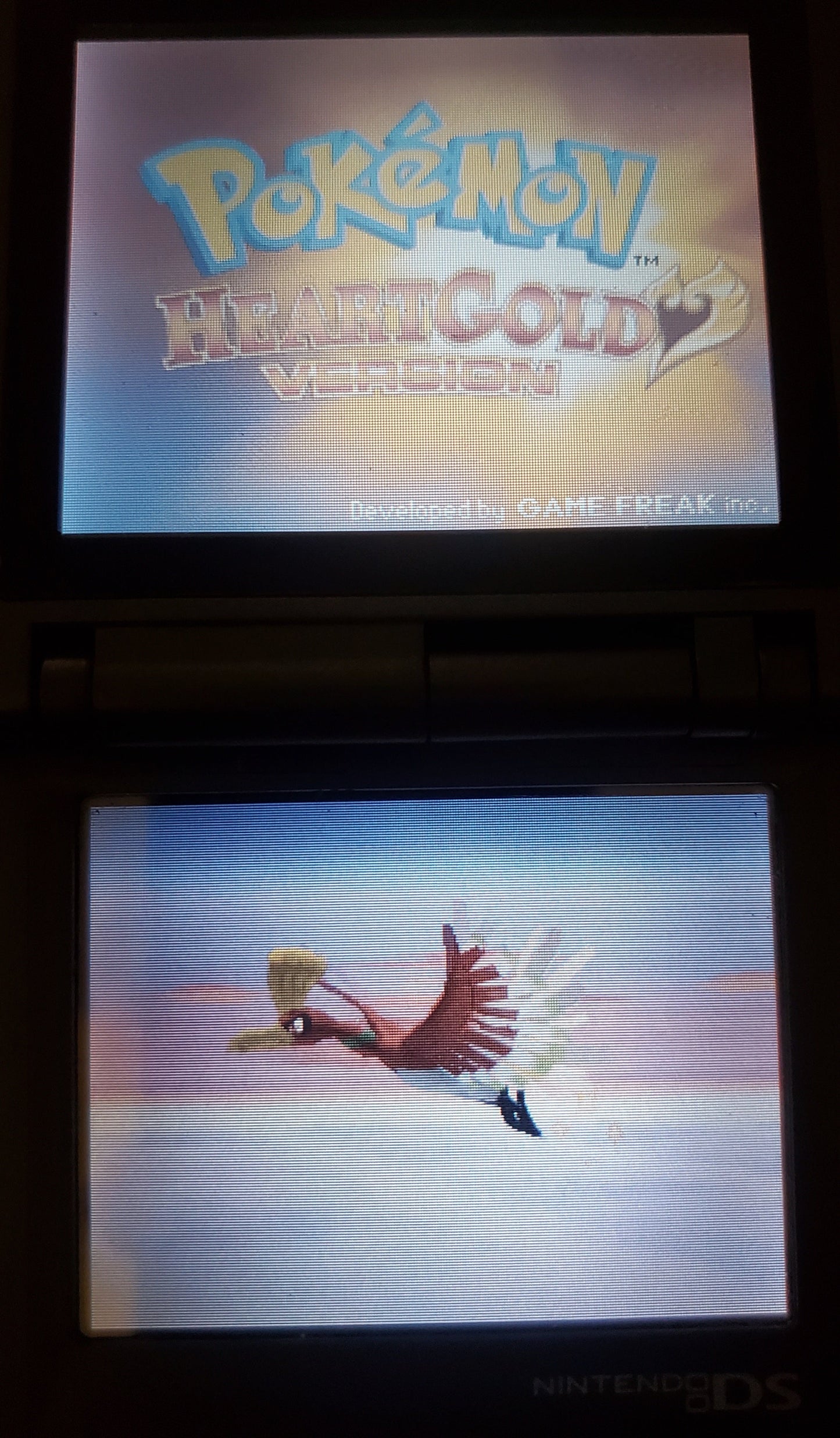 Pokemon Pure Heart Nintendo DS Custom ROM Hack Video Game Cartridge