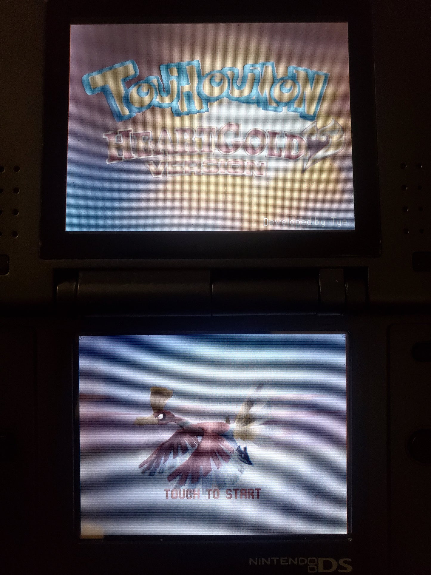 Pokemon Touhoumon HeartGold Nintendo DS Custom ROM Hack Video Game