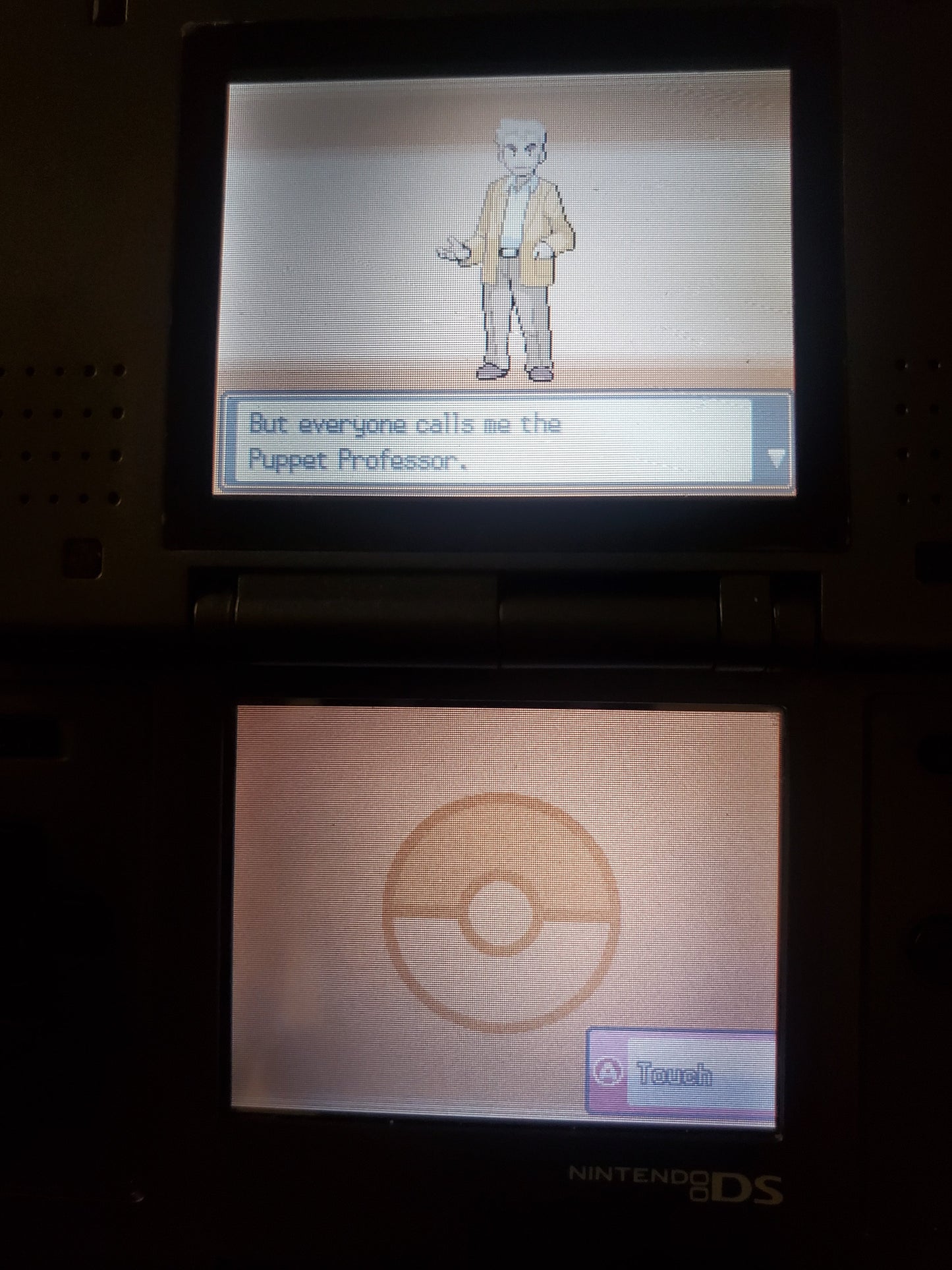 Pokemon Touhoumon HeartGold Nintendo DS Custom ROM Hack Video Game