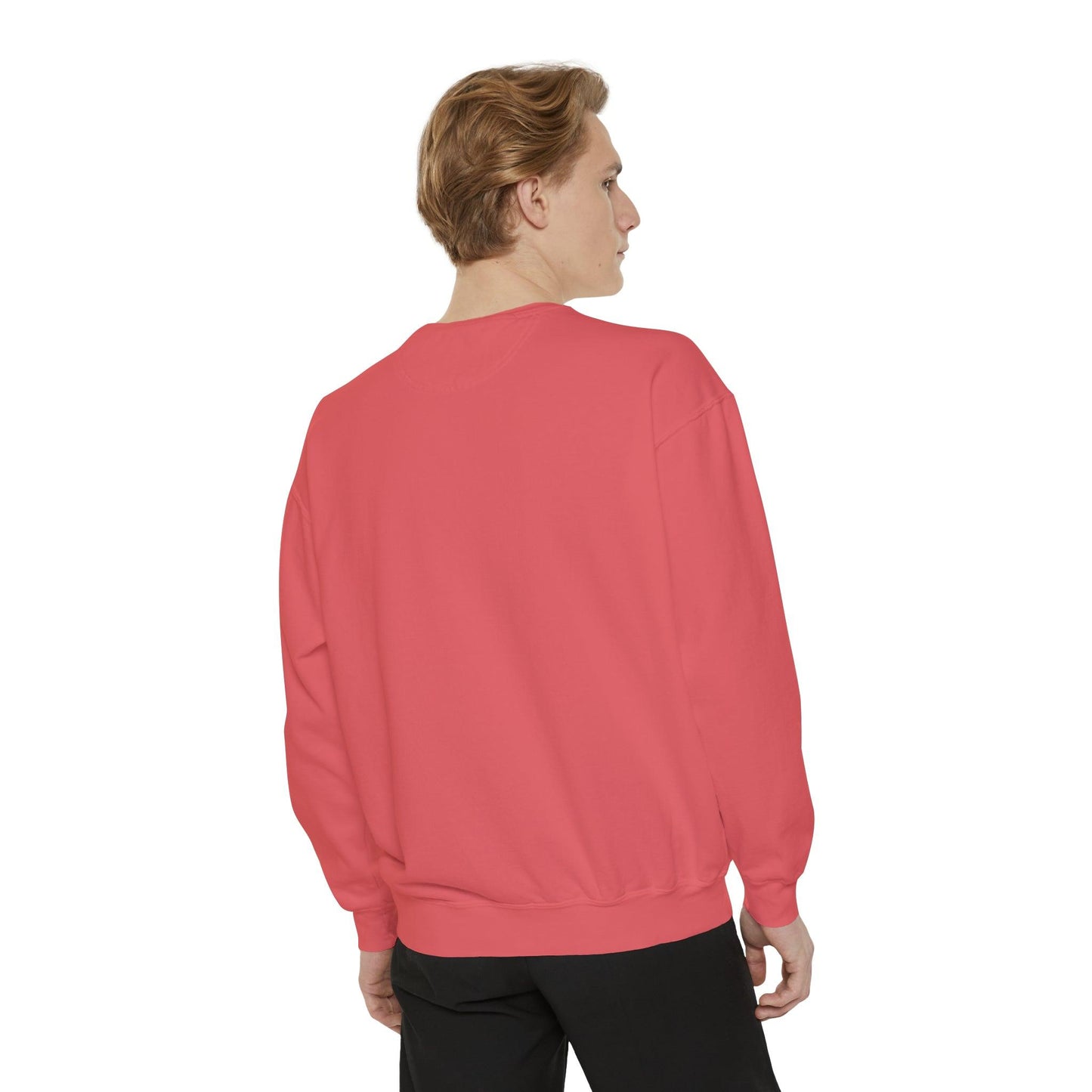 Castled Unisex Garment-Dyed Relaxed Fit Sweatshirt Sizes S-3XL - Lizard Vigilante