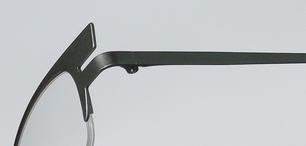 Harry Lary's Stretchy Eyeglasses