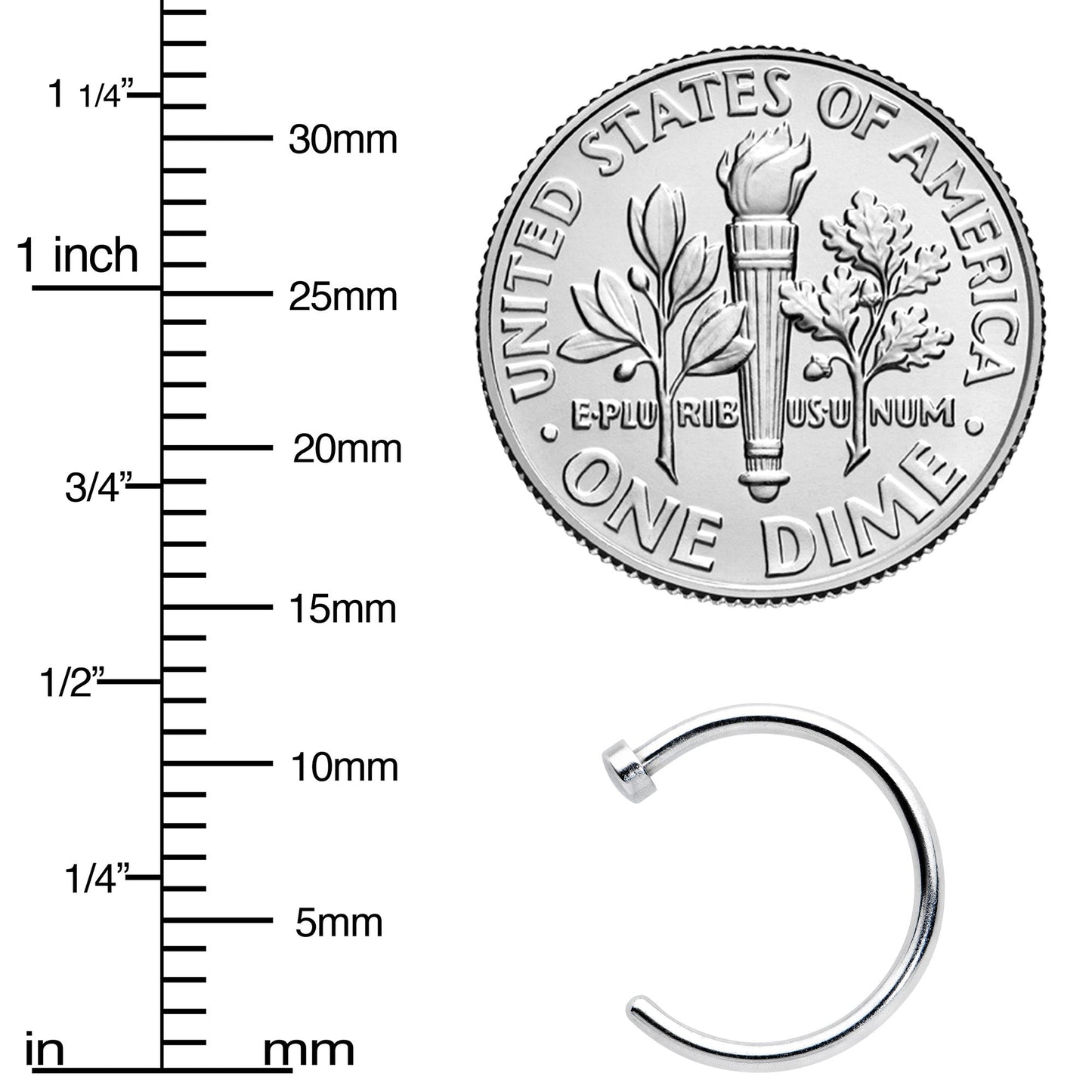 18G Stainless Steel Nose Hoop - 3/8