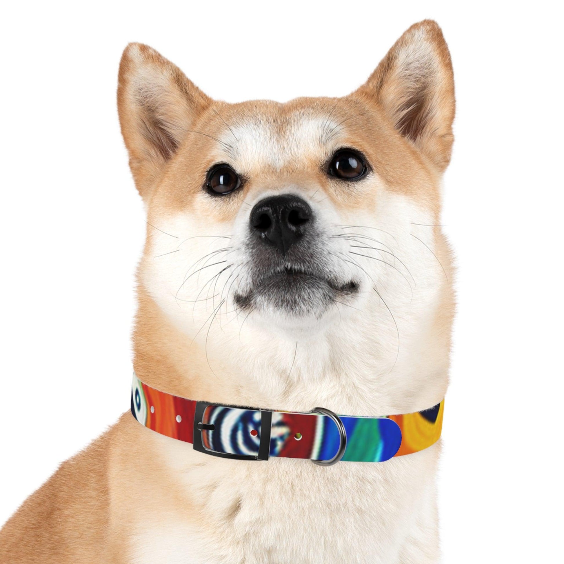 Les Paul Colors Dog Collar - 4 Sizes - Lizard Vigilante