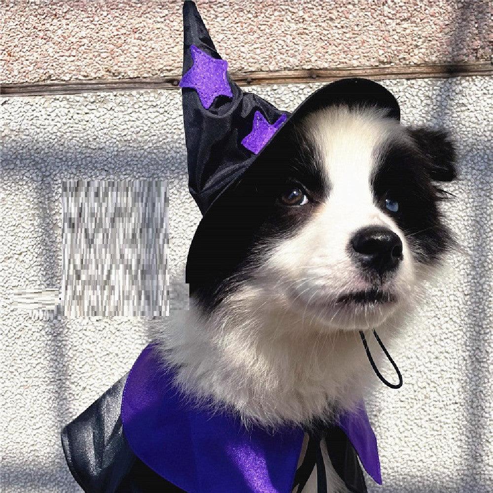 Enchanting Pet Halloween Wizard Costume Set
