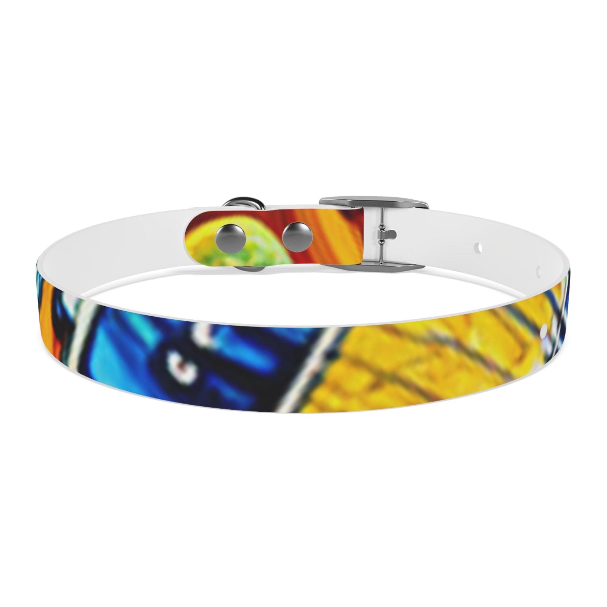 Les Paul Colors Dog Collar - 4 Sizes - Lizard Vigilante