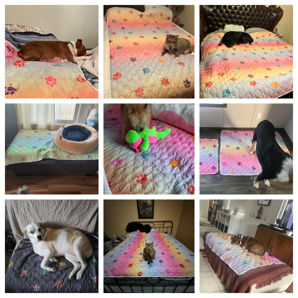 Ultimate Reversible Dog Bed Cover - Waterproof, Washable, Reusable Camping Mat with Geometric Embroidery Blanket, Rainbow Dog Paw Design, Easy to Clean and Durable for Indoor and Outdoor Use
