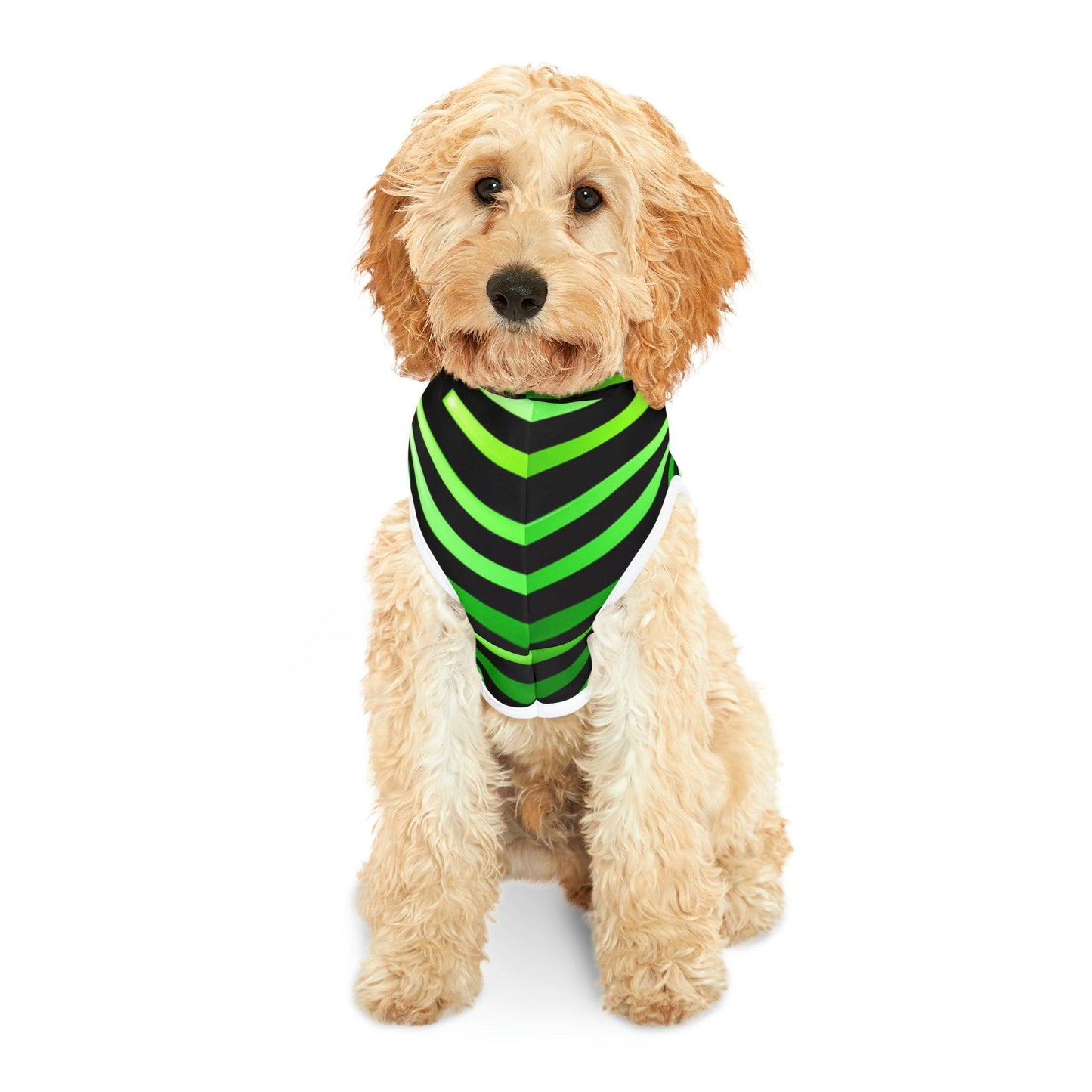 Green & Gold White Lines at Black Pet Hoodie - Lizard Vigilante