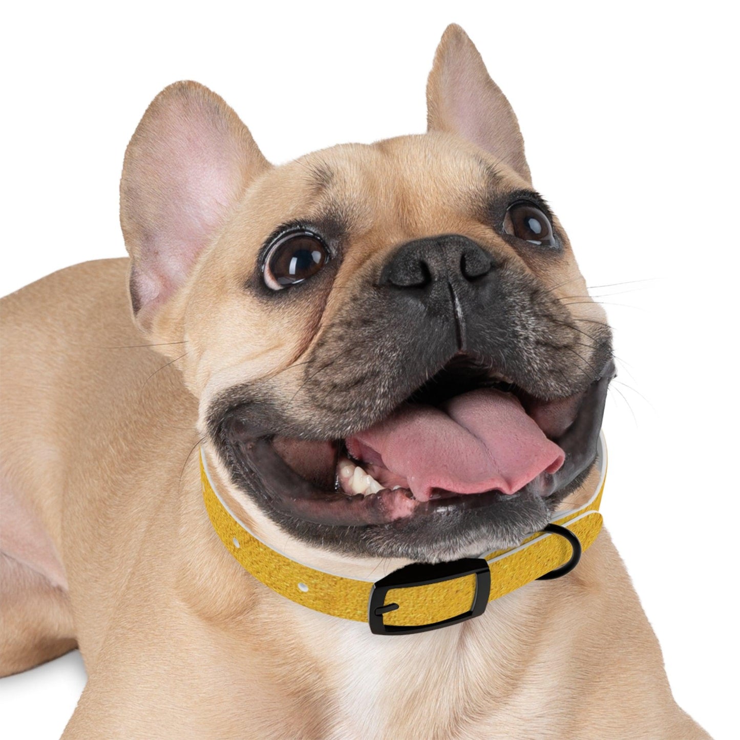 Faux Gold Dog Collar 4 Sizes S-XL - Lizard Vigilante