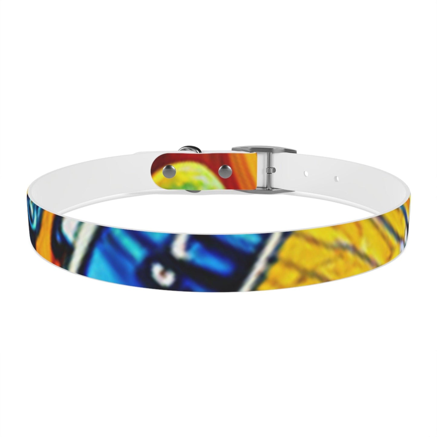 Les Paul Colors Dog Collar - 4 Sizes - Lizard Vigilante