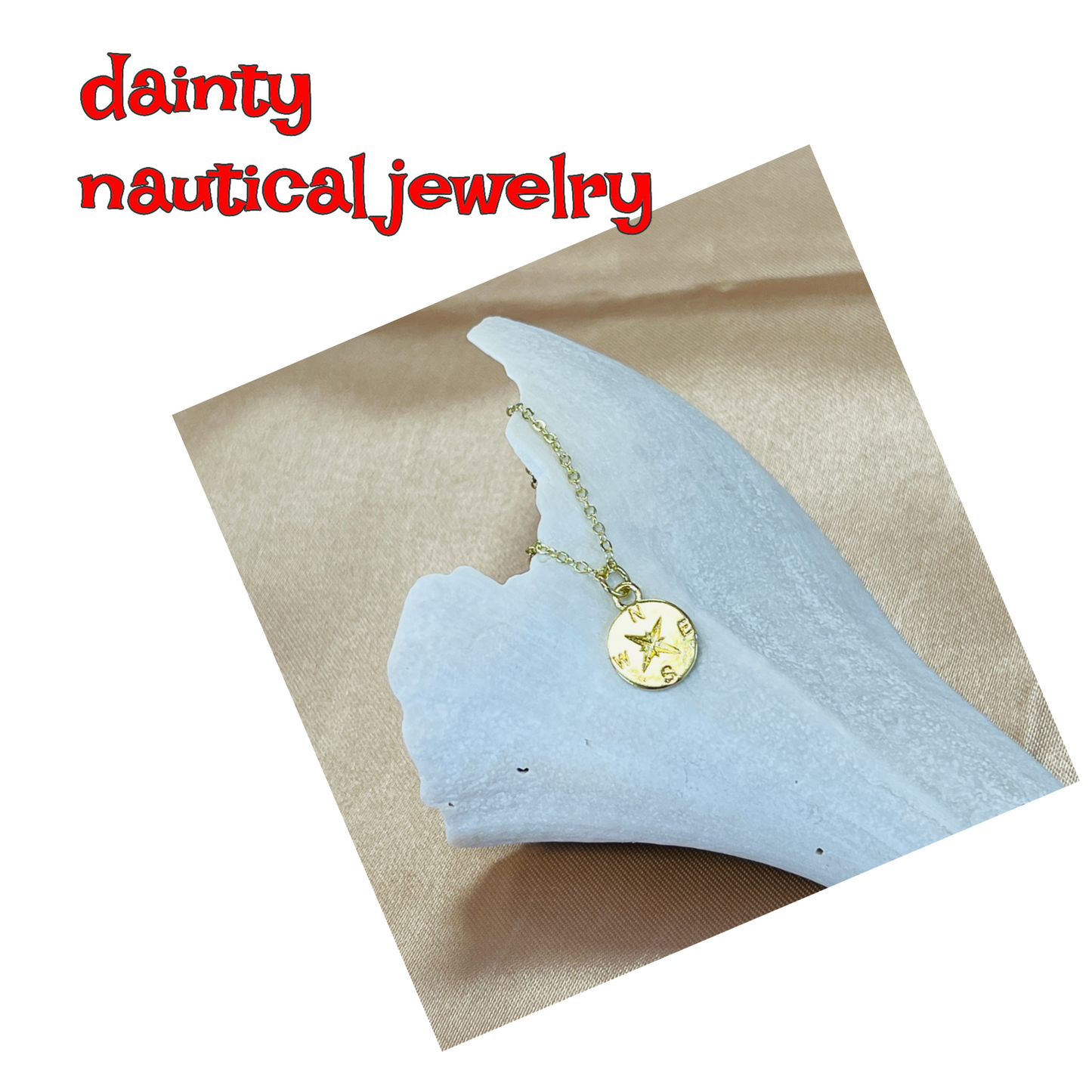 Dainty compass necklace