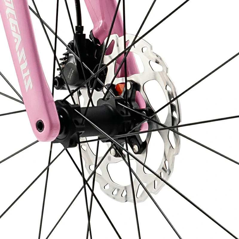 PGZ - Carbon Fiber Road Bike – Pink