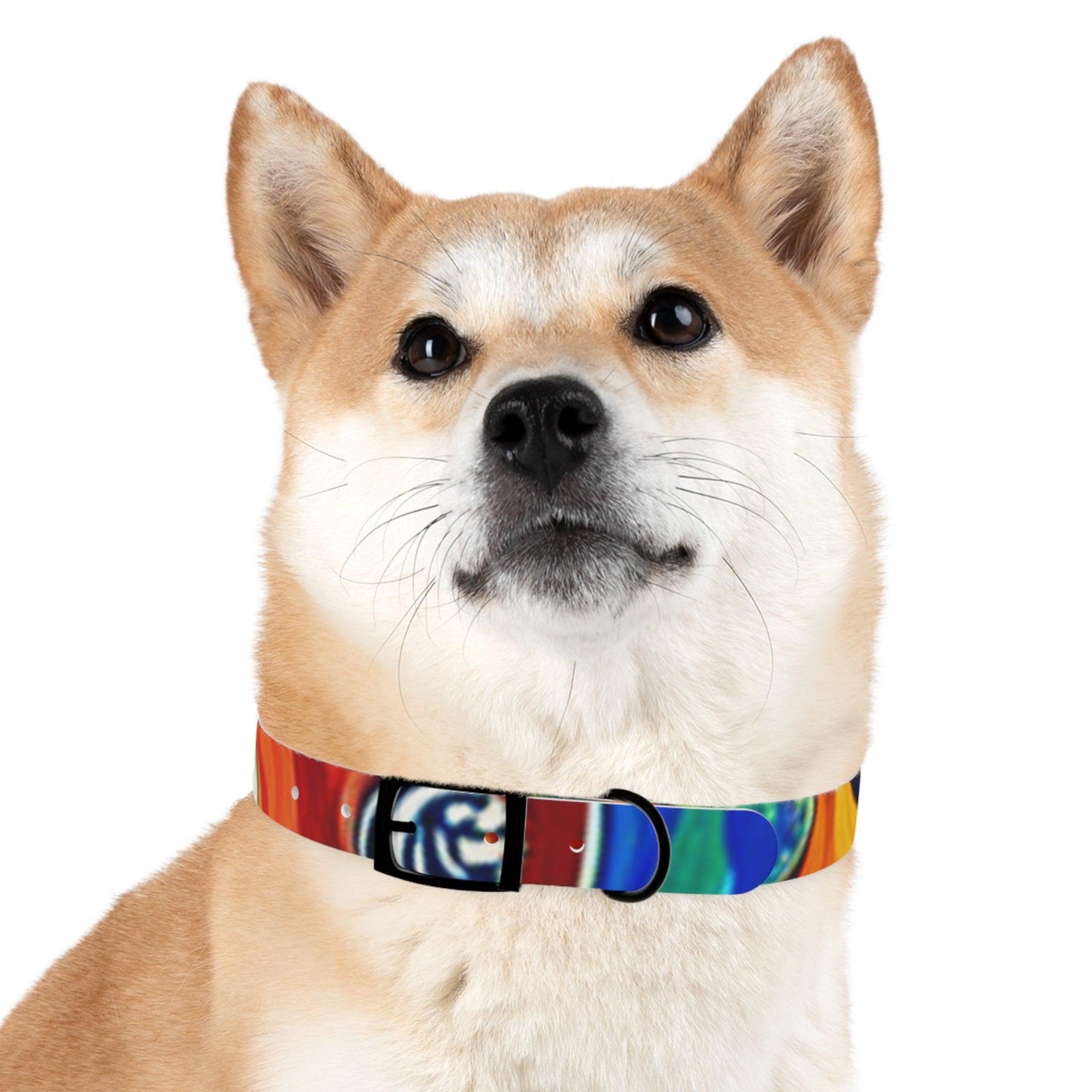 Les Paul Colors Dog Collar - 4 Sizes - Lizard Vigilante