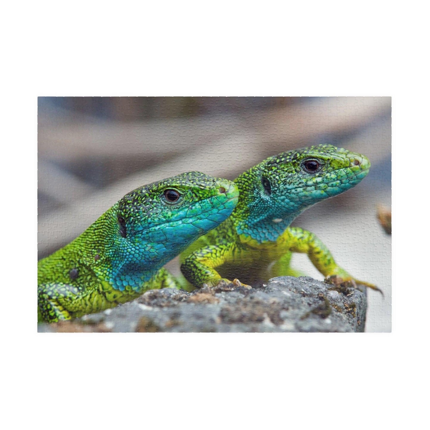 Lizard Buds Puzzle (110, 252, 520, 1014-piece) - Lizard Vigilante