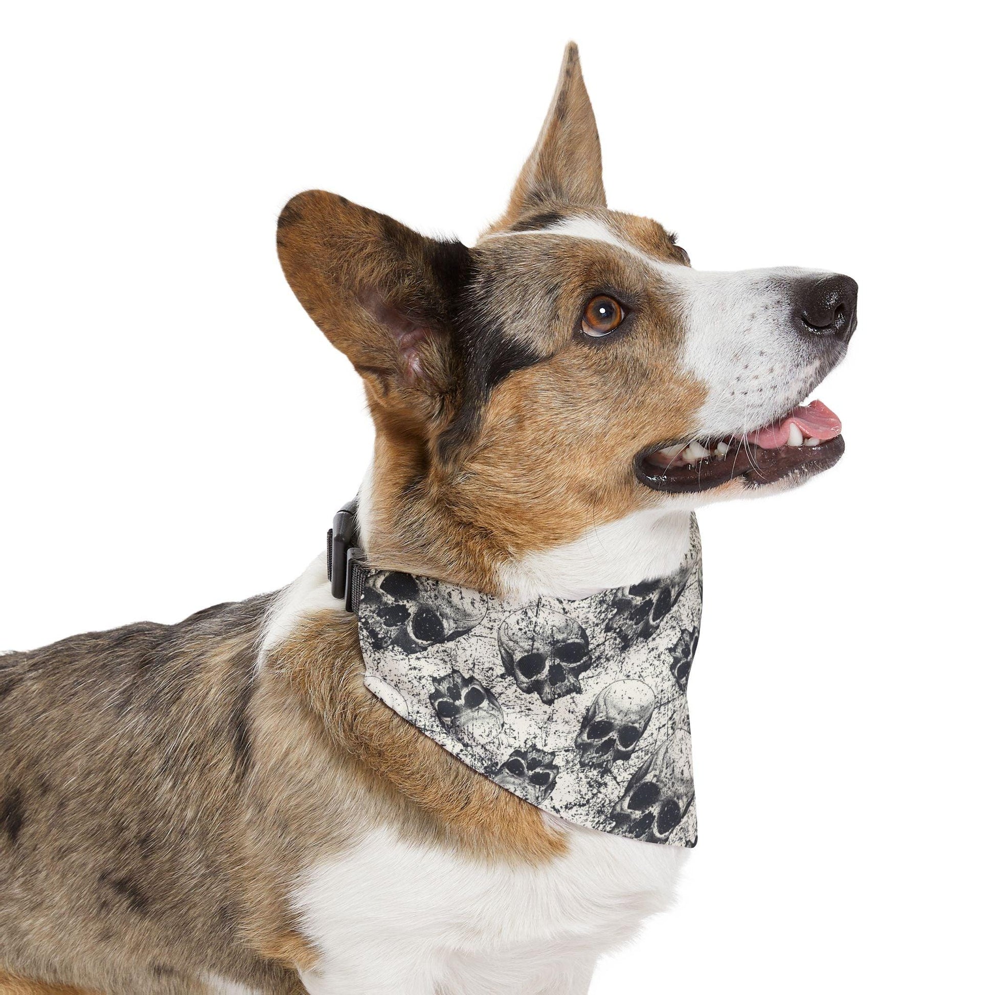 Ancient Skulls Pet Bandana Collar - Premium Pets from Printify - Just $26.99! Shop now at Lizard Vigilante