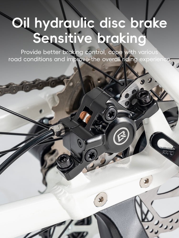 RIDA-P2E Aluminum Road Bike