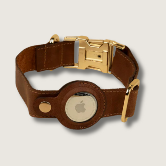 Stylish Leather AirTag Dog Collar - Dark Brown - Davie