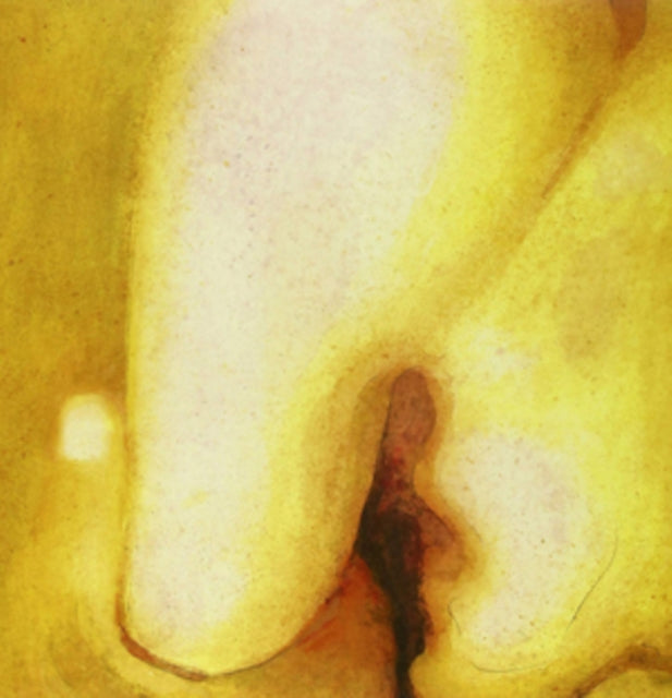 Pisces Iscariot & Gish & Mellon Collie & Infinite Sadness & Adore (2LP) & Atum (4LP)