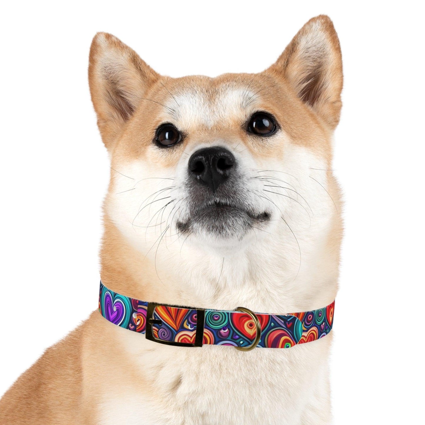 Dog Collar - Lizard Vigilante