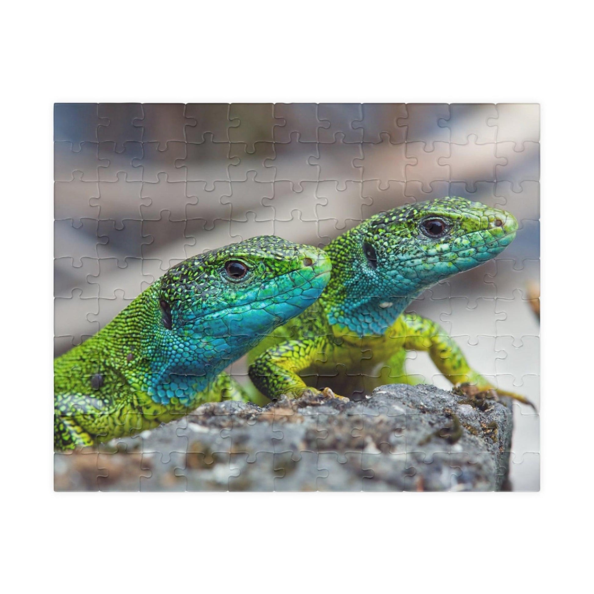 Lizard Buds Puzzle (110, 252, 520, 1014-piece) - Lizard Vigilante